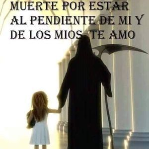 Meet your Posher, Yuli